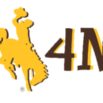 Big Thicket Broadcasting; dba, WyoRadio
